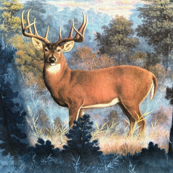 2005 VINTAGE 'THE MOUNTAIN'  TSHIRT - The Stag       Size:  Men's M - Picture 5 of 7